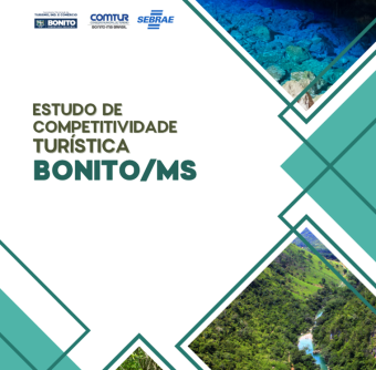 competividadebonito.png
