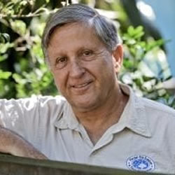 José Fernandes Franco